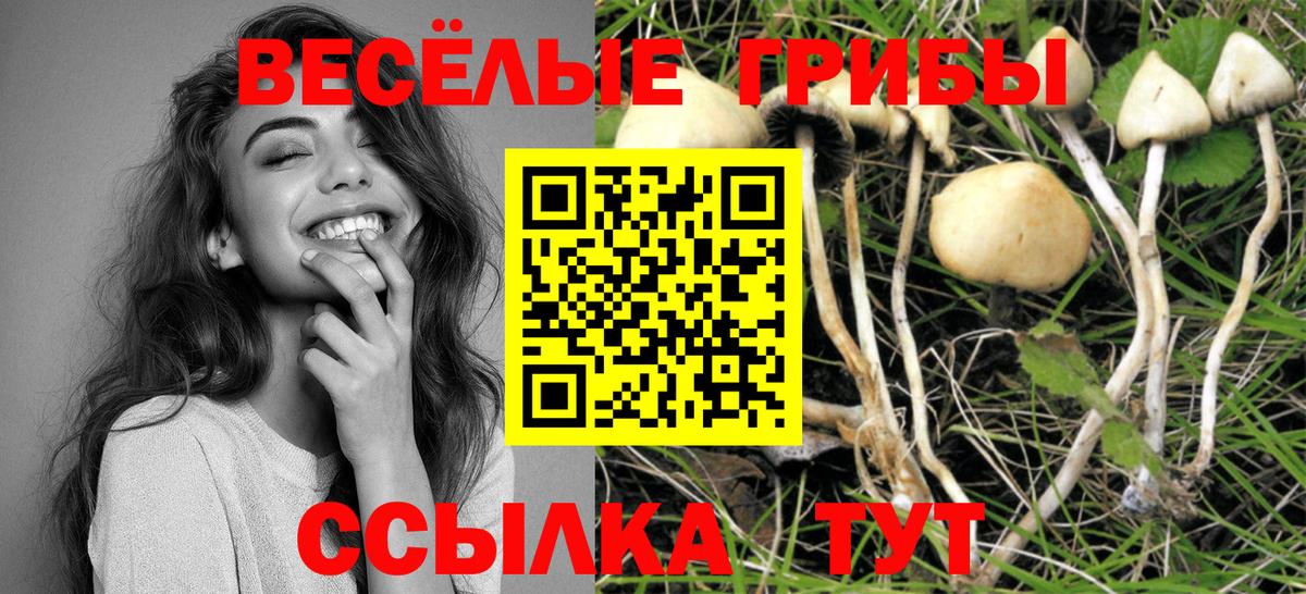 Набережные Челны  Галлюциногенные грибы мицелий  Вход с VPN  наркошоп  Псилоцибиновые грибы Magic Shrooms 