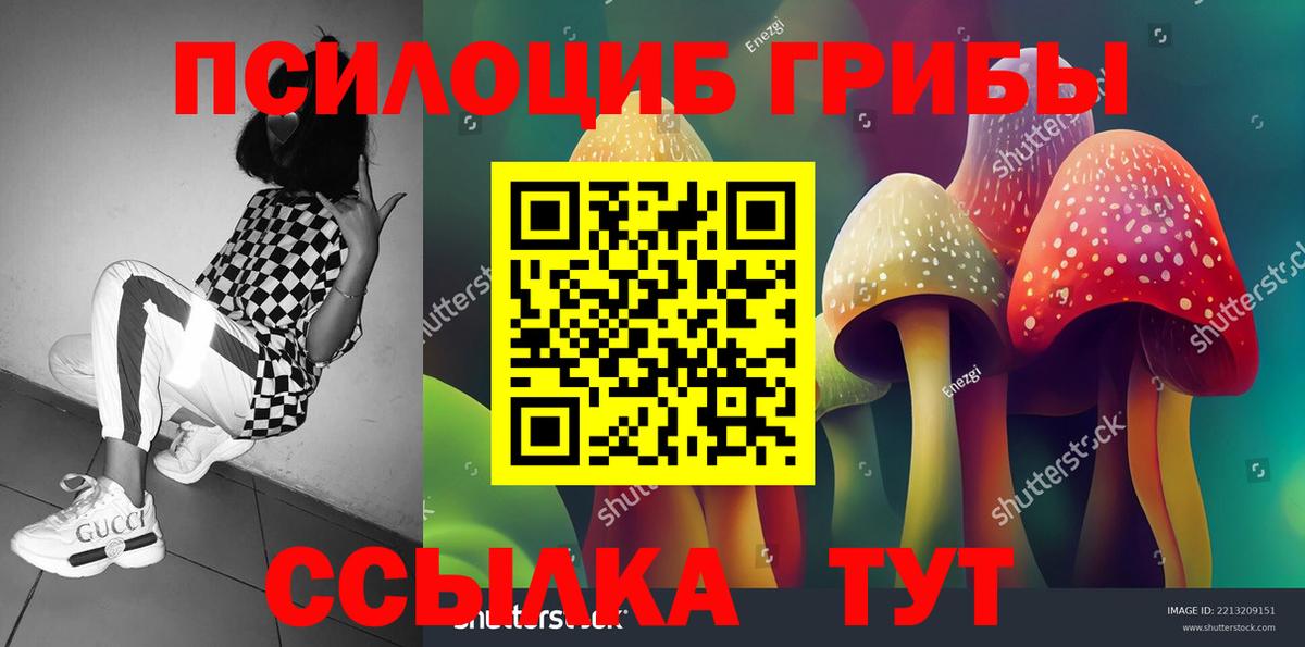 Галлюциногенные грибы Psilocybine cubensis Набережные Челны